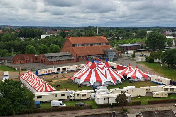 Circus performer plunges to death in front of 80-strong crowd