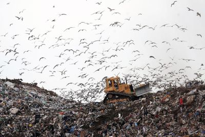 Toxic waste could be next clean energy breakthrough, scientists say