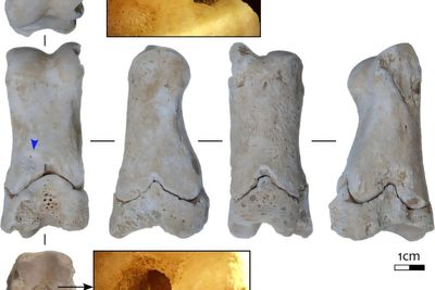 Archaeologists find artefact ancient Egyptian guards used to warn of grave robbers