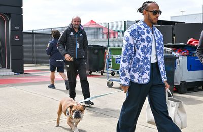 Sir Lewis Hamilton's dog Roscoe has died