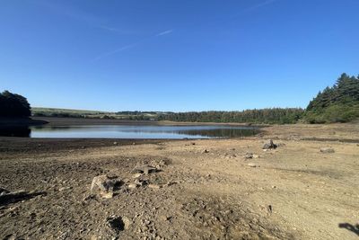 Rest of year ‘unlikely’ to see rainfall needed to recover from serious drought