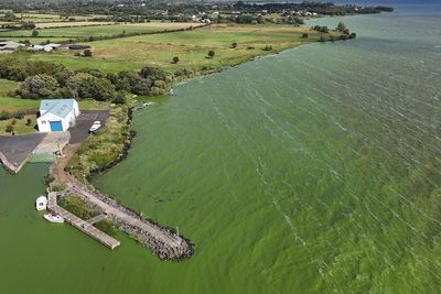 Recovery of Lough Neagh ‘will take years, if not decades’, says Muir
