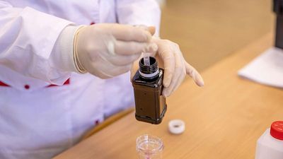 Experimental cannabis extract can help reduce chronic back pain, trial finds
