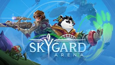 Skygard Arena Review