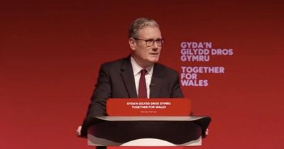 Labour members demand Keir Starmer call out genocide in conference vote