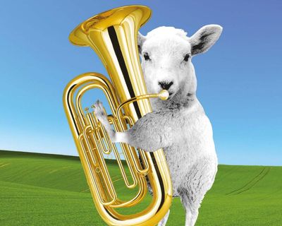 Did you solve it? Ungoogleable and unhinged – ten hilarious visual teasers