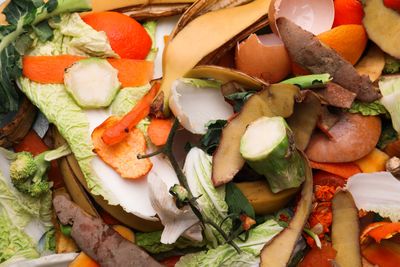 How to Use Grocery Scraps to Grow a Second Harvest