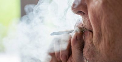 Cannabis Stocks Rally After Trump's Post On Health Benefits. But There's This Risk.