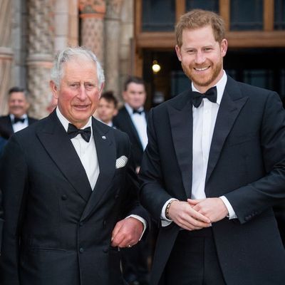 Prince Harry Offered King Charles a Meaningful Gift During Their Recent Peace Summit