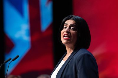 Reform’s immigration plans ‘worse than racist,’ Mahmood says