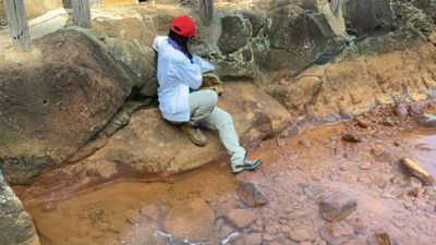 Secrets of ancient life on Earth may live in Japan's hot springs