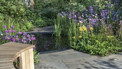 7 plants to mulch in October – insulating these tender plants before frost can save them from a winter demise