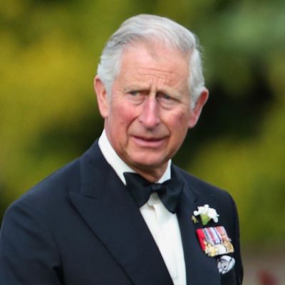 Why King Charles Is Allegedly "Perplexed" After a Royal Source Claimed Certain People "Should Stay Out Of" His Royal Reunion With Prince Harry