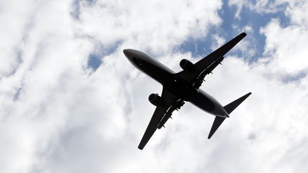 American Airlines’ surprise new ‘passenger’ was discovered in the landing gear, dead on arrival