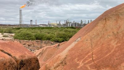 Rock art safeguards weakened despite gas hub's harms