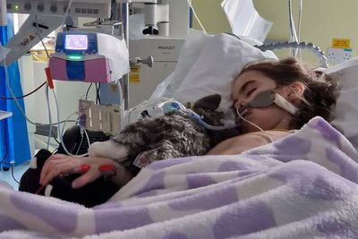‘Happy, healthy’ girl left paralysed from neck down after falling ill