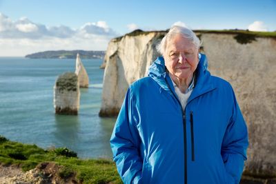 Sir David Attenborough’s Ocean brought to life with orchestra performance