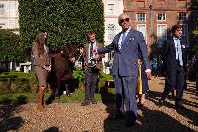 King meets cow on Clarence House lawns during charity reception