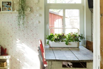 How to use tech in the garden and still keep your serenity