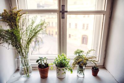 7 Ways to Garden Without a Backyard