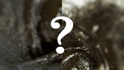 Camera geeks, help me! What kind of bokeh is this?