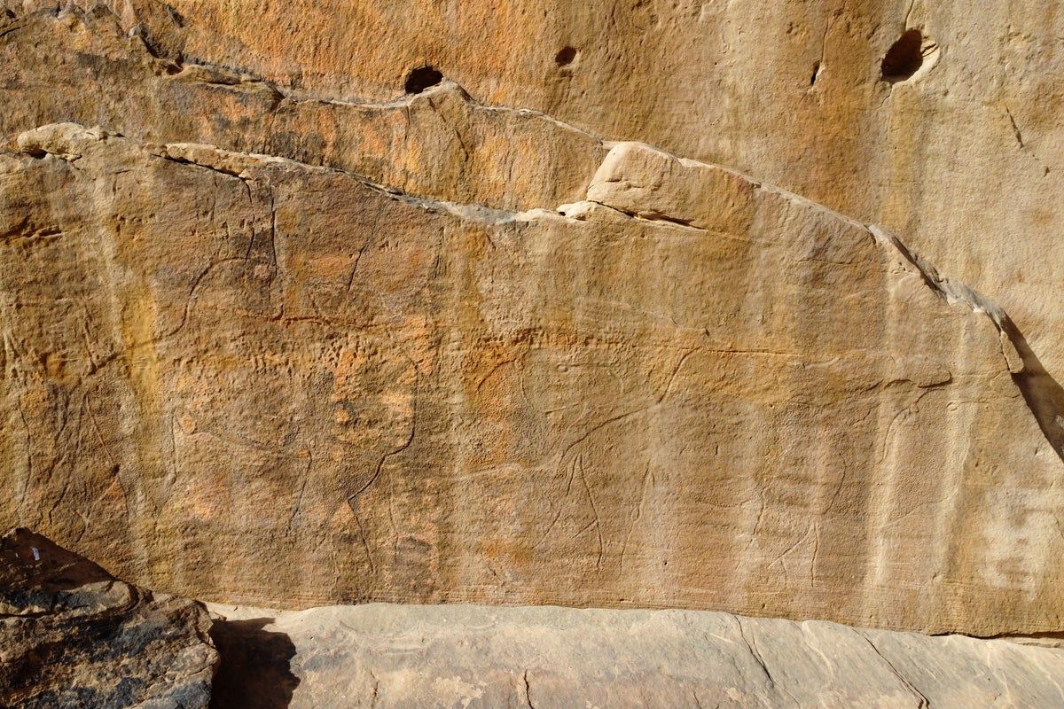 Animal rock art discovery rewrites human history in…