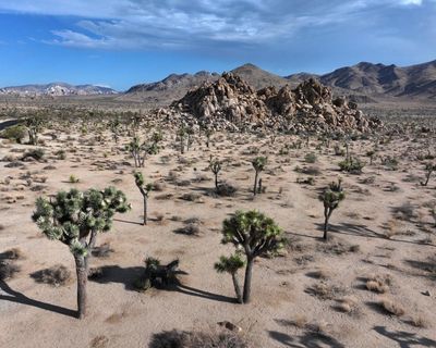 US national parks to remain partly open during government shutdown