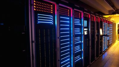VPS vs dedicated hosting in 2025: Cost, performance, and support priorities revealed