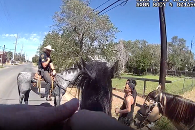 Suspect takes off running after being told police horse ‘can smell drugs’