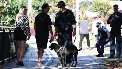 Top cop apologises but defends 'valid' strip searches