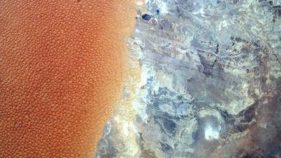 Sea of Saharan 'star dunes' clashes with otherworldly terrain where 2 countries meet — Earth from space