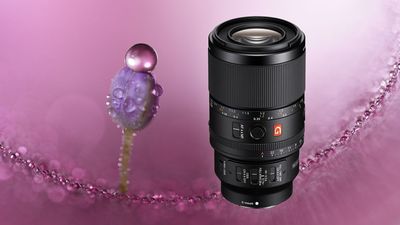 Sony just dropped its first ever macro G Master lens –and it offers up to 2.8x magnification