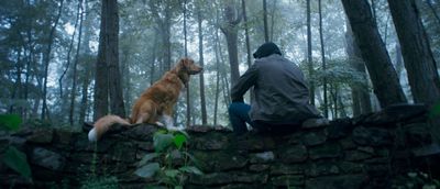 Good Boy Review: A Handmade Horror Film That’s A Tension-Filled, Yet Earnest Tribute To Man’s Best Friend