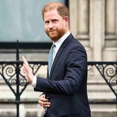 Prince Harry’s Fears About “Sabotage” Echo Princess Diana’s Response to the Media, a Royal Commentator Says
