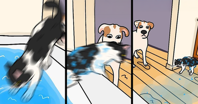 This Artist Turns Everyday Cats Into Funny Comics And Illustrations, And Here Are 65 Of The Best