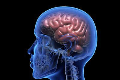 Scientists discover way to see tiny brain clusters that may trigger Parkinson’s