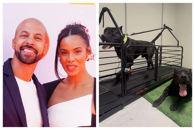 Rochelle and Marvin Humes 'buy two huge £40k guard dogs' after spate of celebrity break-ins