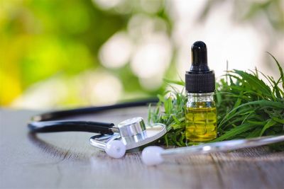 Is Tilray's Stock Price Surge a Pipe Dream of Political Hype?