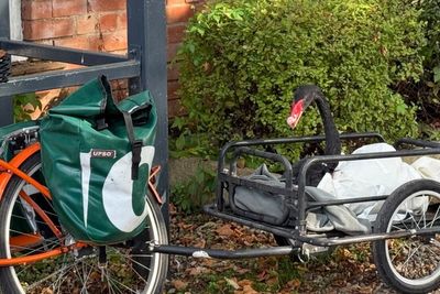 Black swan nicknamed ‘Mr Terminator’ evicted from town after trying to drown local birds