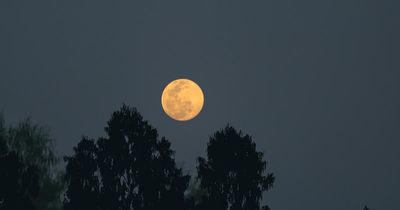 Rare Harvest supermoon to appear over UK in October for first time in 38 years