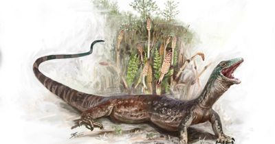 Fossil discovery reveals new species of ancient Jurassic reptile roamed Scotland