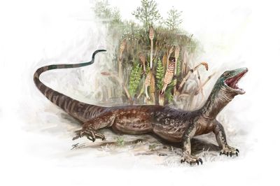 Fossil reveals new species of ancient Jurassic reptile which roamed Scotland