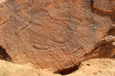 Mystery of 12,000-year-old animal carvings found in uninhabitable desert