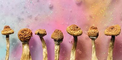 How different mushrooms learned the same psychedelic trick