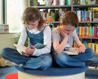Who will run our primary school libraries?
