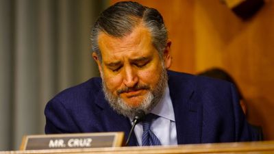 ‘Stop attacking pedophiles’: Yes, Ted Cruz really said that with a straight face and zero shame