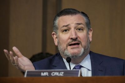 ‘Stop attacking pedophiles’: Yes, Ted Cruz actually chose these words like it’s a normal thing to say