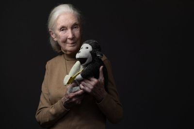 Jane Goodall death updates: Tributes pour in for ‘tireless advocate’ who ‘reshaped our understanding of the natural world’