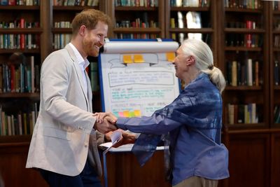 Harry and Meghan lead tributes as conservationist Jane Goodall dies aged 91