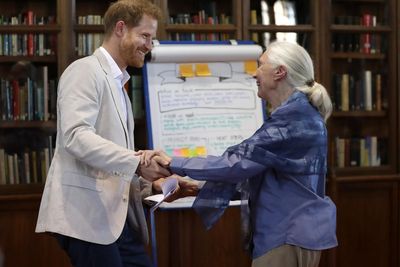 Harry and Meghan lead tributes to ‘visionary’ Jane Goodall: ‘She held our son when he was born’